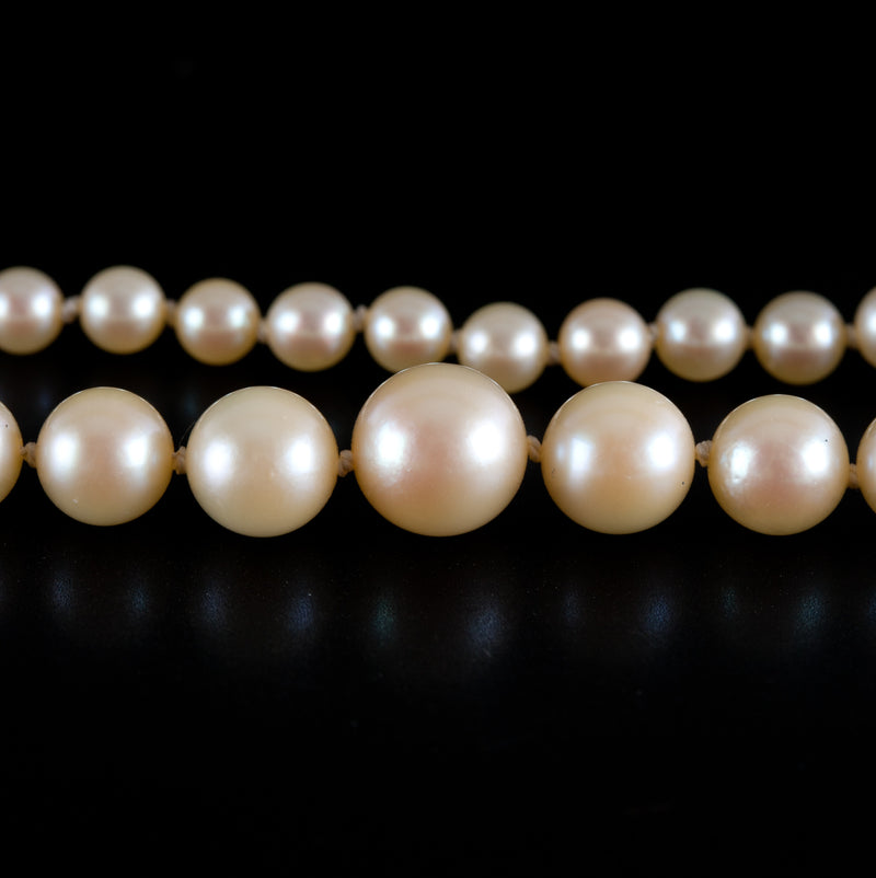 14k White Gold Round Cultured Pearl Graduated Necklace W/ Diamond Accented Clasp
